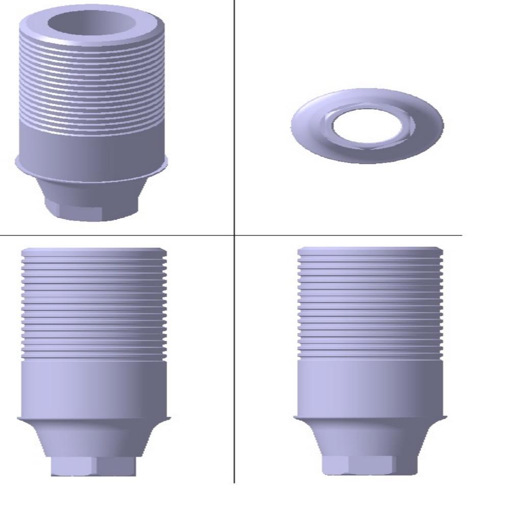 UCLA CCM Abutment