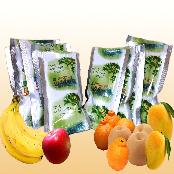 Moringa resin