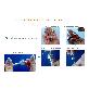 detail image4 Electromagnetic wave filter for earphone