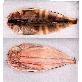 full image Hwanggi-Hamcho salted atka mackerel