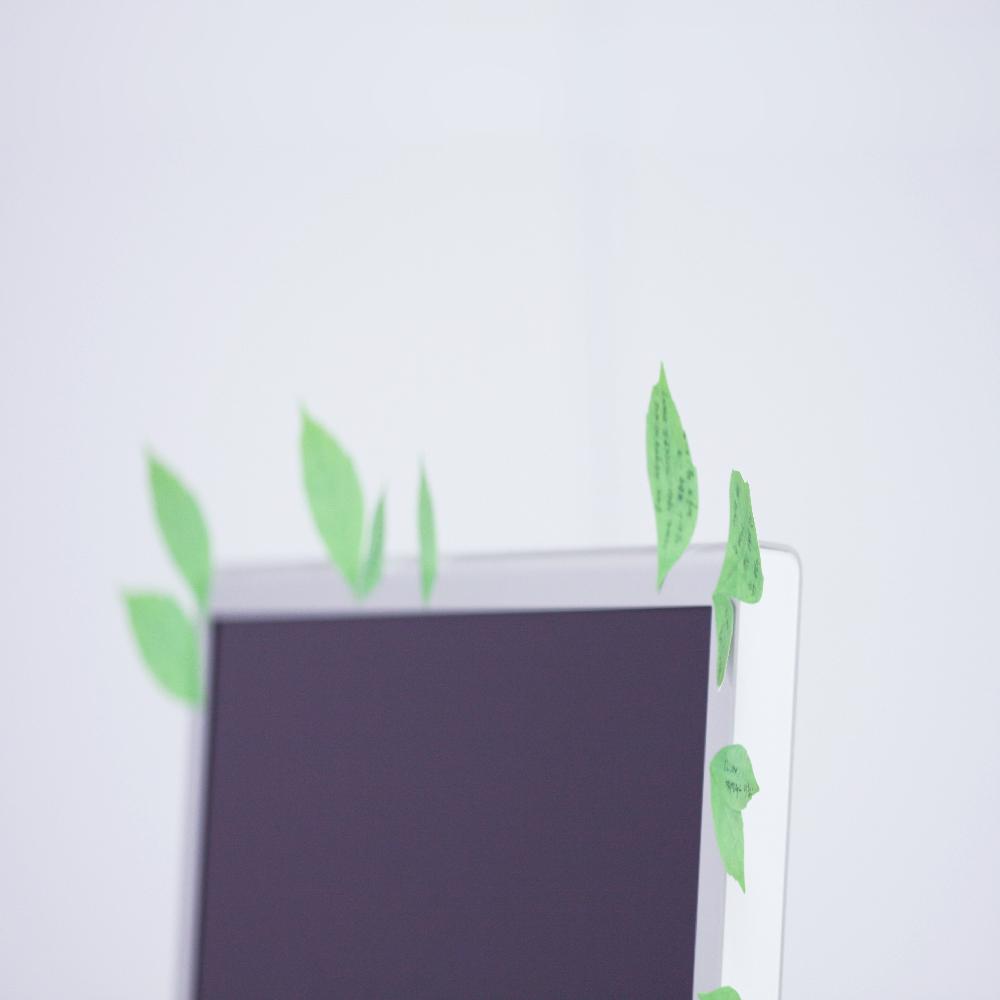 Sticky Leaf - Birch