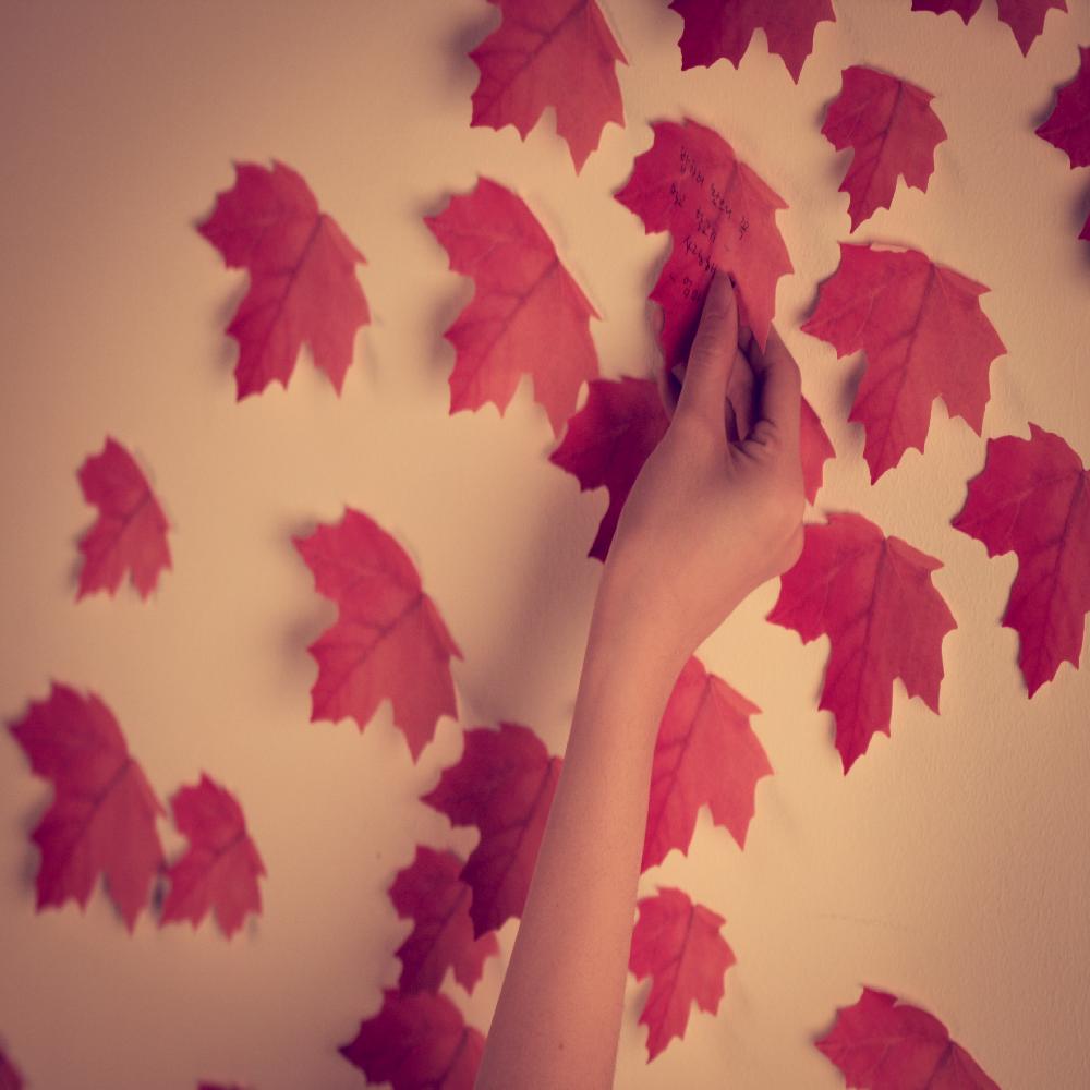 Sticky Leaf - Maple