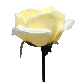 detail image1 Love Rose LED LIGHT
