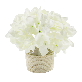 full image Hydrangea LED