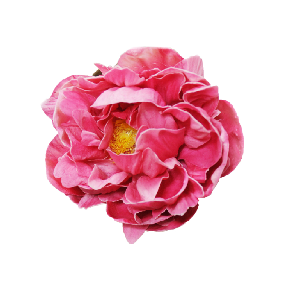 Classy Peony Pen