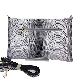 detail image2 Python Skin Spangle Clutch