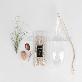 detail image4 Air Plants Tillandsia Terrarium Set " Desert Juncifolia " by Joinflower Joinfolia