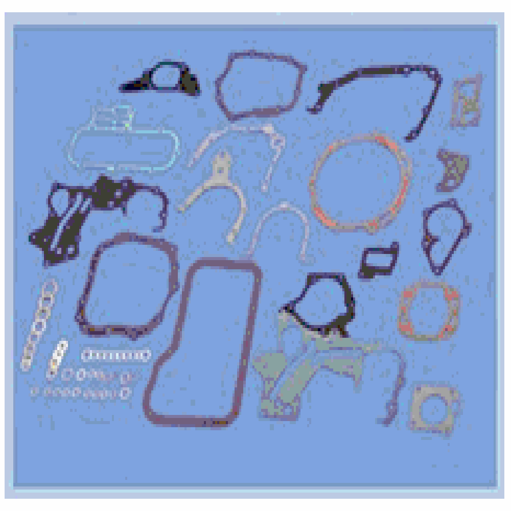 Secondary Gasket