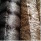 full image Stocklot Fabric Hi Pile Nature Color Fur