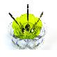 full image Multipot
