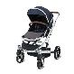 full image Simple design elenier's deluxe compromise Sesto S Shining Edition (Grey, Navy, Red, Brown)