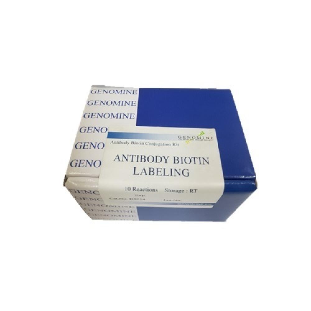 PhosProTM kit