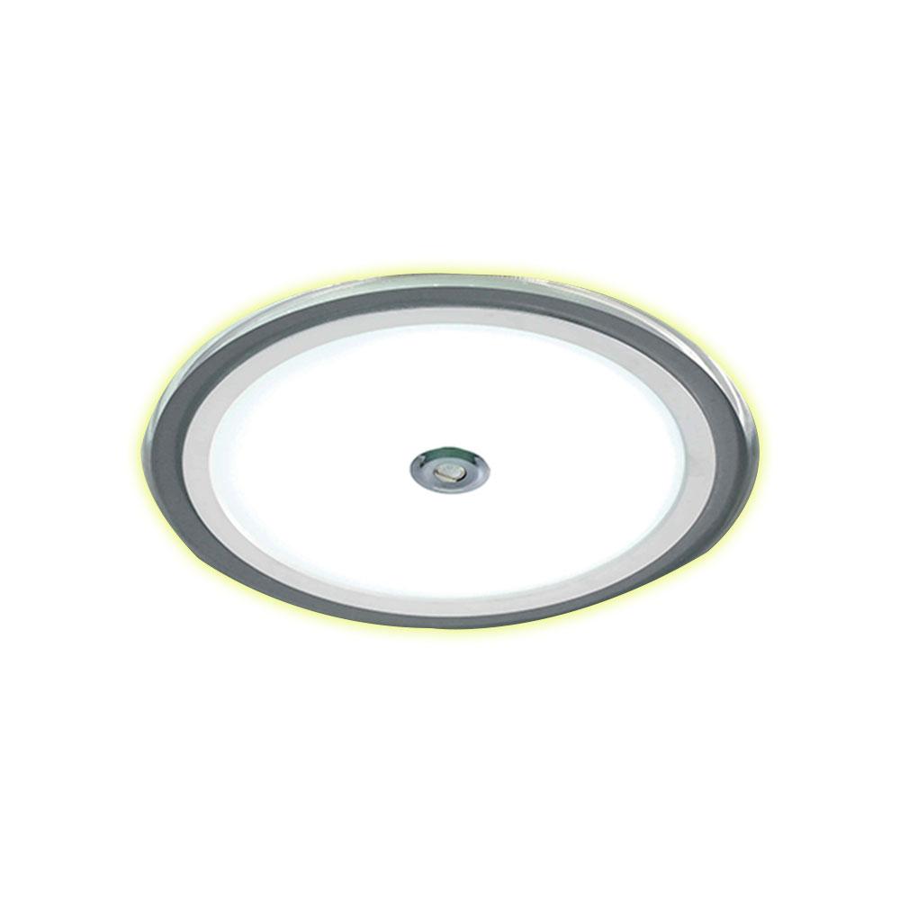 DAYTIME D-SENSOR (Designer's Collection Sensor)