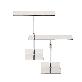 full image BONES Shoe Display Stand Set- Stainless Steel Mirror Finish