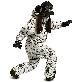 detail image2 [South Play] SOUTH PLAY Ski Snowboard Jumper Blazer Jacket Coat + Trousers Pants Suits SET 03