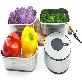 detail image1 Daddyhome’ Vacuum Packing Machine Set (Packing Machine)