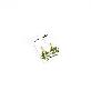 full image Resin Craft Earring with Four Leaf Clover Dangle Real Lucky Clover Ear Rings - Square Type