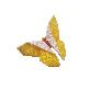 full image butterfly pin