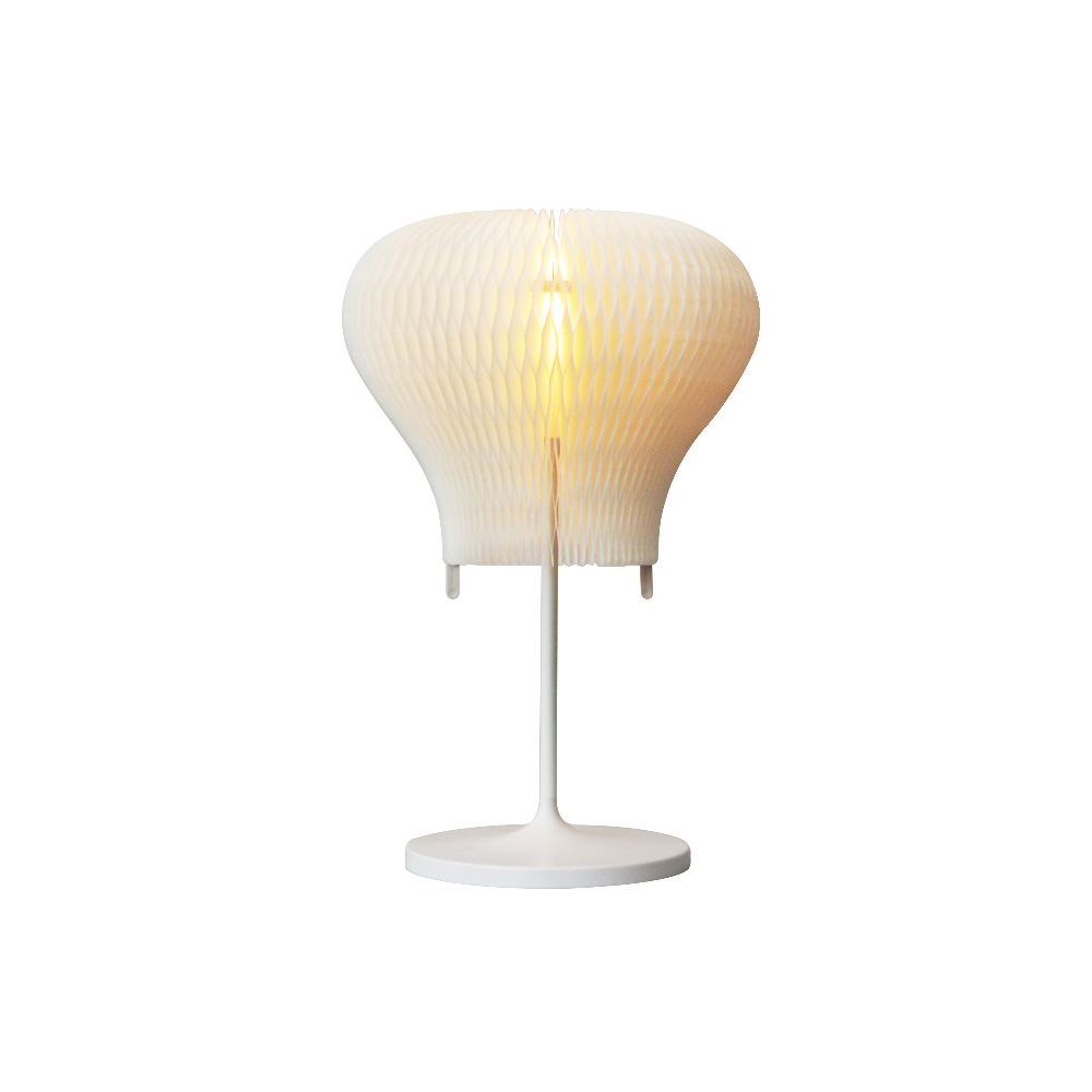 NANUM D'LIGHT Auto