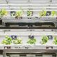 detail image2 IOT Smart Farm Control System