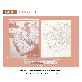 detail image1 Dream Sky Nation-Map Decorative Coloring Painting DIY Paper Continent Map - Arabia