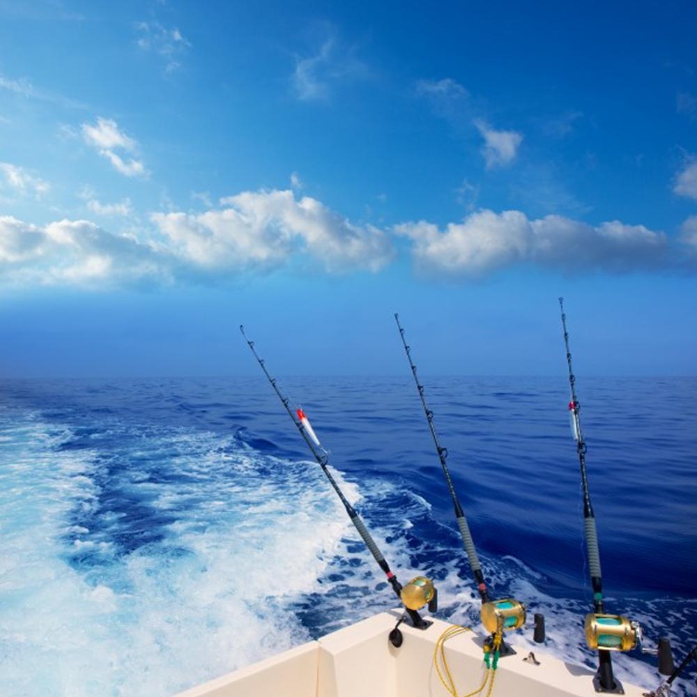 Fishing Hooks_Double Hooks