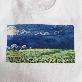 detail image4 Subli OP _ One Press Velvety Sublimation Printing