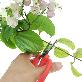 detail image3 Garden Scissors