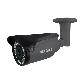 full image IP type Flame Detection Camera