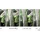detail image2 ANYSHEET Laminating Film A4 (100ct) for documents, Photos, Books, Clear Coating Embossed Matte