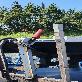 detail image2 Belt Alignment Switch Belt Sway Switch Belt Conveyor Explosion Proof Plant