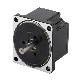 detail image1 BLDC Motor ( AC/DC )