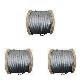 full image [DSR] Wire rope