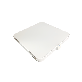 detail image1 OREX Virus Killer LED Lamp Fixture (Square)