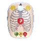 full image Air Hearty: Self-Instruction CPR Training Device