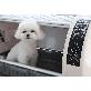 detail image3 PET BROODER 90
