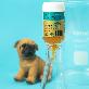 detail image1 Mujijota Tear-Staining Supporting Supplement 1.76 oz Pet Health Care