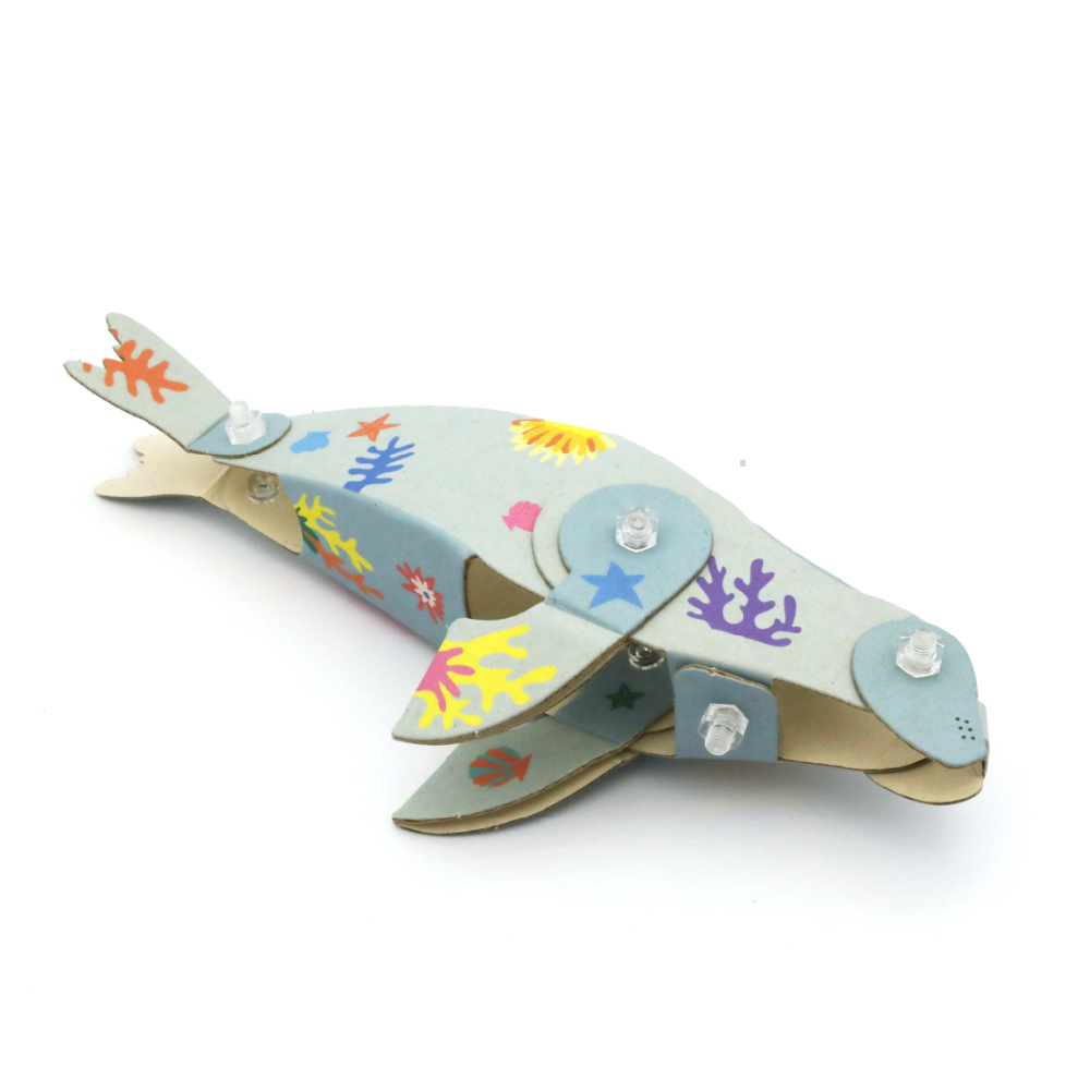 Artbot Monk Seal