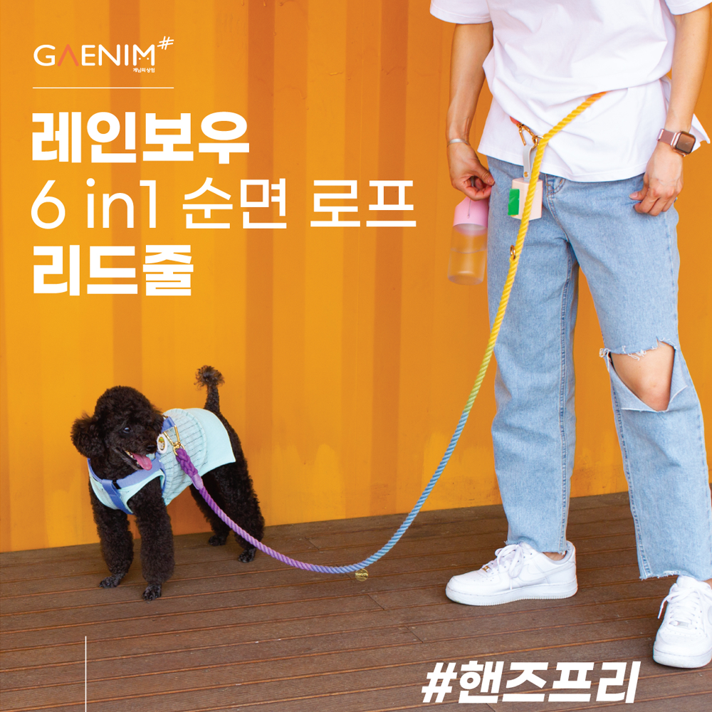 Dog Rainbow 6 in 1 Rope Dog Leash How to use hands-free walking with both hands