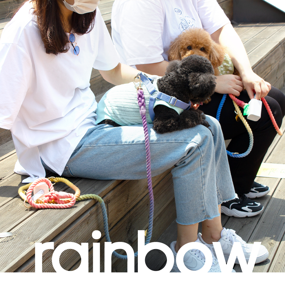 Dog Rainbow 6 in 1 Rope Dog Leash How to use hands-free walking with both hands