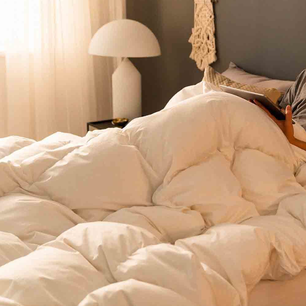 zero o'clock goose down Comforter (signature model)