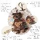 detail image3 Portable mini sensory comfort "bear doll" - a gift box package(Bell sound)