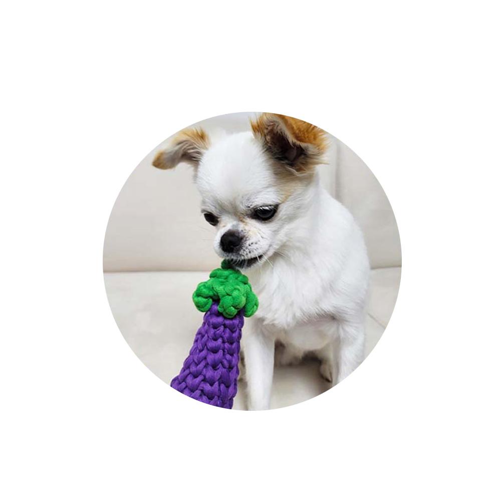 Eggplant Catch Toy