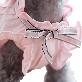 detail image3 Tint Frill blouses (Pink / XL size)