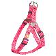detail image1 Explorer-Color Of Nature Harness & Rope Leash Set