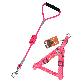 detail image5 Explorer-Color Of Nature Harness & Rope Leash Set