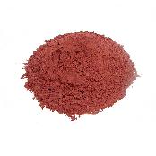 KIC  LTD STARBOND