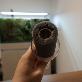detail image5 iruzio aquarium cleaner 2in1 Filter sets Dedicated high-density sponge filter waste in fishbowl