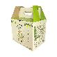 detail image2 Heartfelt Togomi's Shine muscat gift set 6pcs.