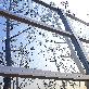 detail image5 TAESAN-BTSP(Noise reduction, Bird saver)
